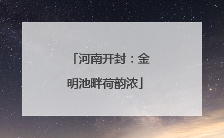 河南开封：金明池畔荷韵浓