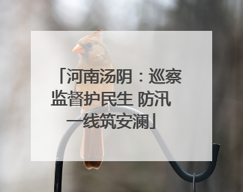 河南汤阴：巡察监督护民生 防汛一线筑安澜