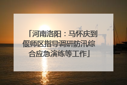 河南洛阳：马怀庆到偃师区指导调研防汛综合应急演练等工作