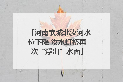 河南襄城北汝河水位下降 汝水虹桥再次“浮出”水面