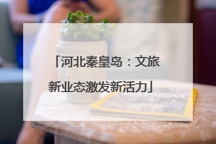 河北秦皇岛：文旅新业态激发新活力