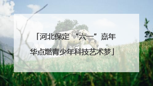 河北保定 “六一”嘉年华点燃青少年科技艺术梦