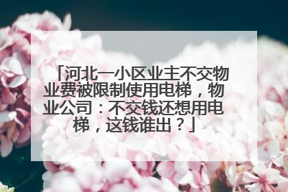 河北一小区业主不交物业费被限制使用电梯，物业公司：不交钱还想用电梯，这钱谁出？