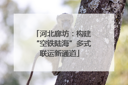 河北廊坊：构建“空铁陆海”多式联运新通道