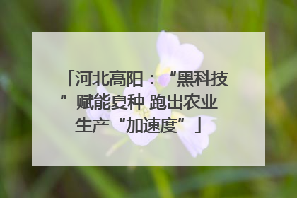 河北高阳：“黑科技”赋能夏种 跑出农业生产“加速度”