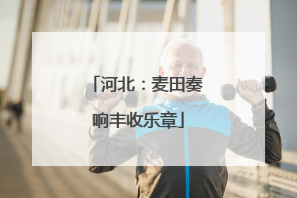 河北：麦田奏响丰收乐章