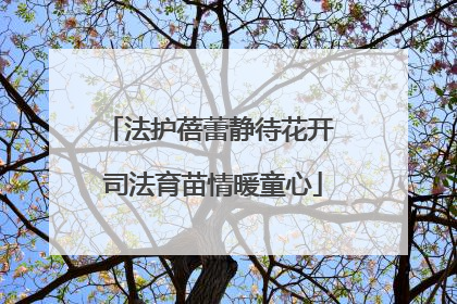 法护蓓蕾静待花开 司法育苗情暖童心