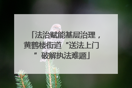 法治赋能基层治理，黄鹤楼街道“送法上门”破解执法难题