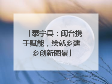泰宁县：闽台携手赋能，绘就乡建乡创新图景