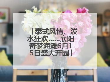 泰式风情、泼水狂欢……襄阳奇梦海滩6月15日盛大开园