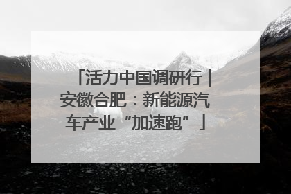 活力中国调研行｜安徽合肥：新能源汽车产业“加速跑”