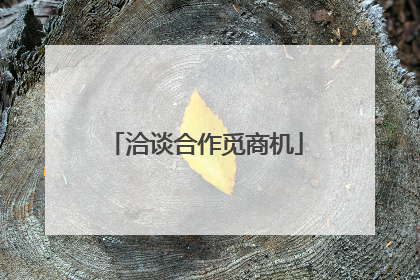 洽谈合作觅商机