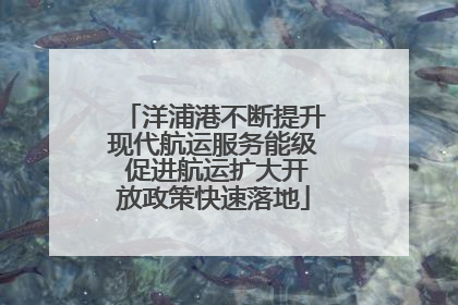 洋浦港不断提升现代航运服务能级 促进航运扩大开放政策快速落地