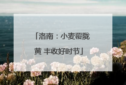 洛南：小麦覆陇黄 丰收好时节