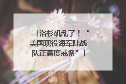 洛杉矶乱了！“美国现役海军陆战队正高度戒备”