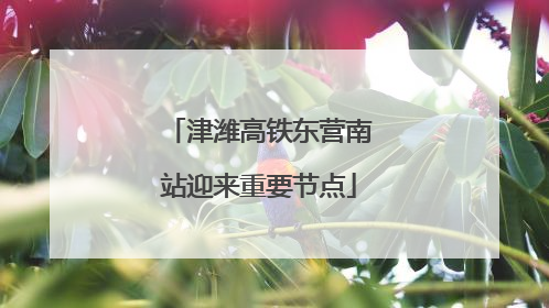 津潍高铁东营南站迎来重要节点