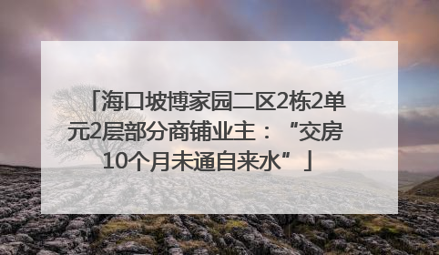 海口坡博家园二区2栋2单元2层部分商铺业主：“交房10个月未通自来水”
