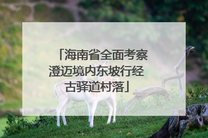 海南省全面考察澄迈境内东坡行经古驿道村落