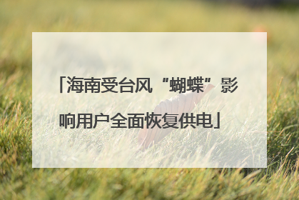 海南受台风“蝴蝶”影响用户全面恢复供电