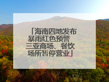 海南四地发布暴雨红色预警 三亚商场、餐饮场所暂停营业
