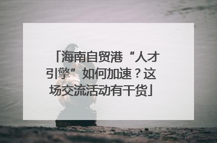 海南自贸港“人才引擎”如何加速？这场交流活动有干货