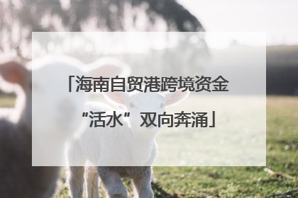 海南自贸港跨境资金“活水”双向奔涌