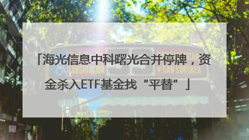 海光信息中科曙光合并停牌，资金杀入ETF基金找“平替”