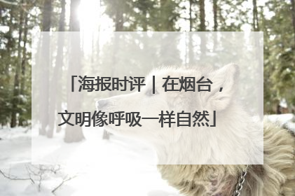海报时评｜在烟台，文明像呼吸一样自然