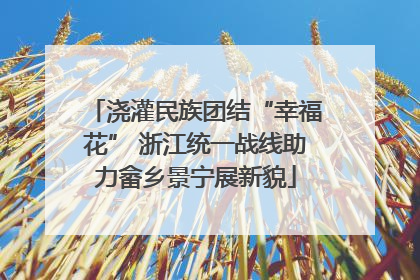 浇灌民族团结“幸福花” 浙江统一战线助力畲乡景宁展新貌