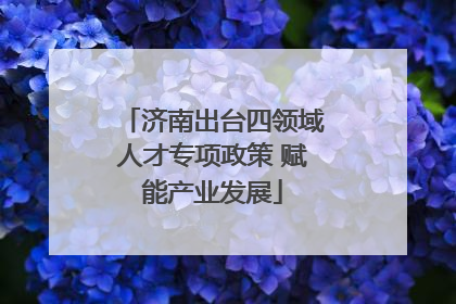 济南出台四领域人才专项政策 赋能产业发展
