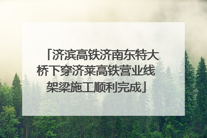 济滨高铁济南东特大桥下穿济莱高铁营业线架梁施工顺利完成