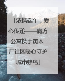 浓情端午，爱心传递——魔方公寓携手黄木 厂社区暖心守护城市蜂鸟