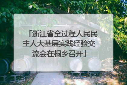 浙江省全过程人民民主人大基层实践经验交流会在桐乡召开