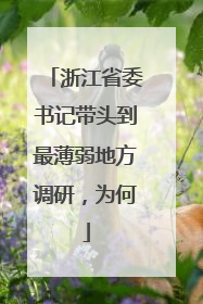 浙江省委书记带头到最薄弱地方调研，为何