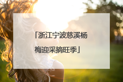 浙江宁波慈溪杨梅迎采摘旺季