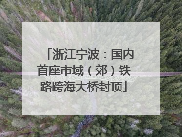 浙江宁波：国内首座市域（郊）铁路跨海大桥封顶