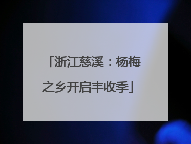 浙江慈溪：杨梅之乡开启丰收季