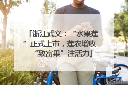 浙江武义：“水果莲”正式上市，莲农增收“致富果”注活力