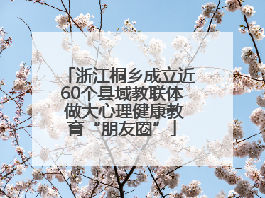 浙江桐乡成立近60个县域教联体 做大心理健康教育“朋友圈”