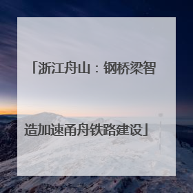浙江舟山：钢桥梁智造加速甬舟铁路建设