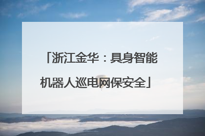 浙江金华：具身智能机器人巡电网保安全