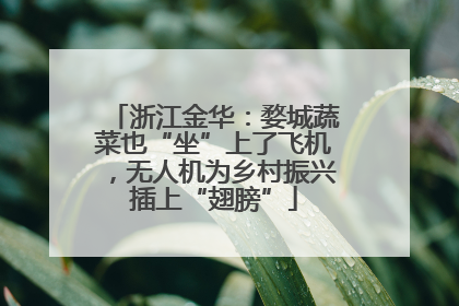 浙江金华：婺城蔬菜也“坐”上了飞机，无人机为乡村振兴插上“翅膀”