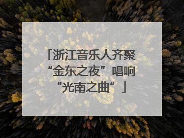 浙江音乐人齐聚“金东之夜”唱响“光南之曲”