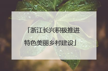 浙江长兴积极推进特色美丽乡村建设