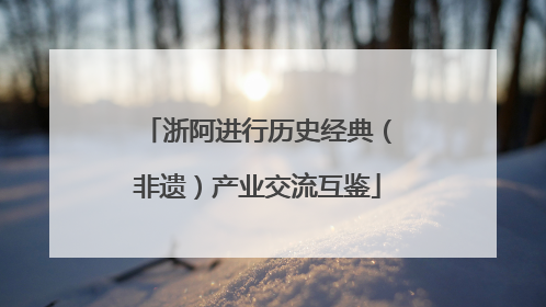 浙阿进行历史经典（非遗）产业交流互鉴