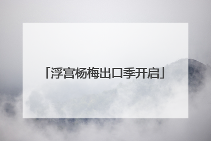 浮宫杨梅出口季开启