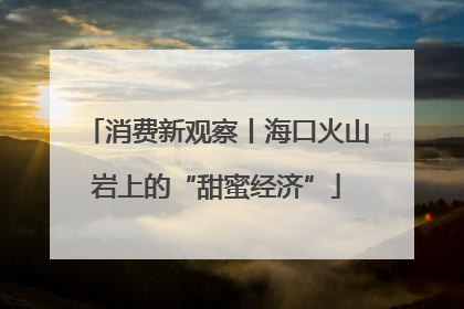 消费新观察丨海口火山岩上的“甜蜜经济”