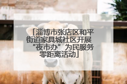 淄博市张店区和平街道家具城社区开展“夜市办”为民服务零距离活动