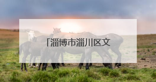 淄博市淄川区文化和旅游局：文旅法治进校园 守护青春筑防线