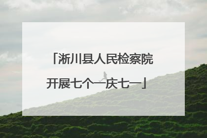 淅川县人民检察院开展七个一庆七一